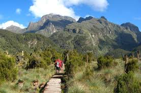 Mt. Elgon Hike